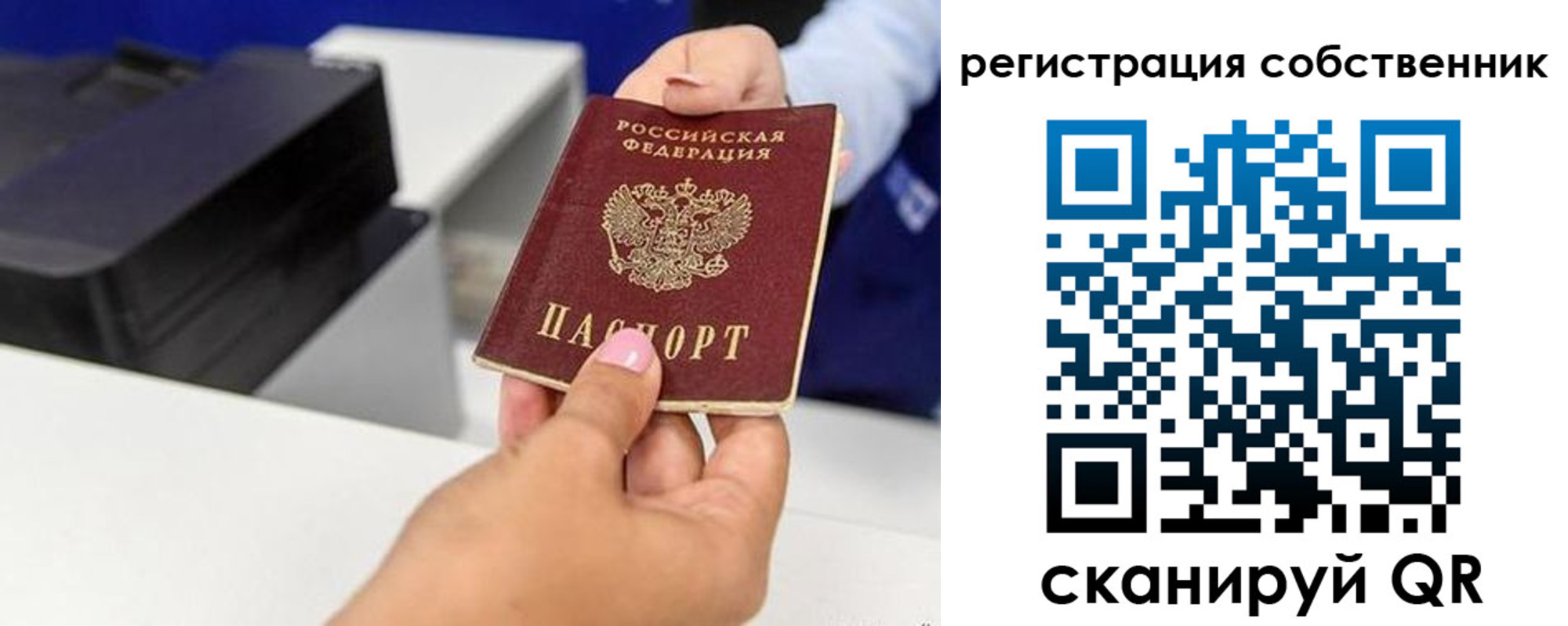 прописка для школы в Вязьме